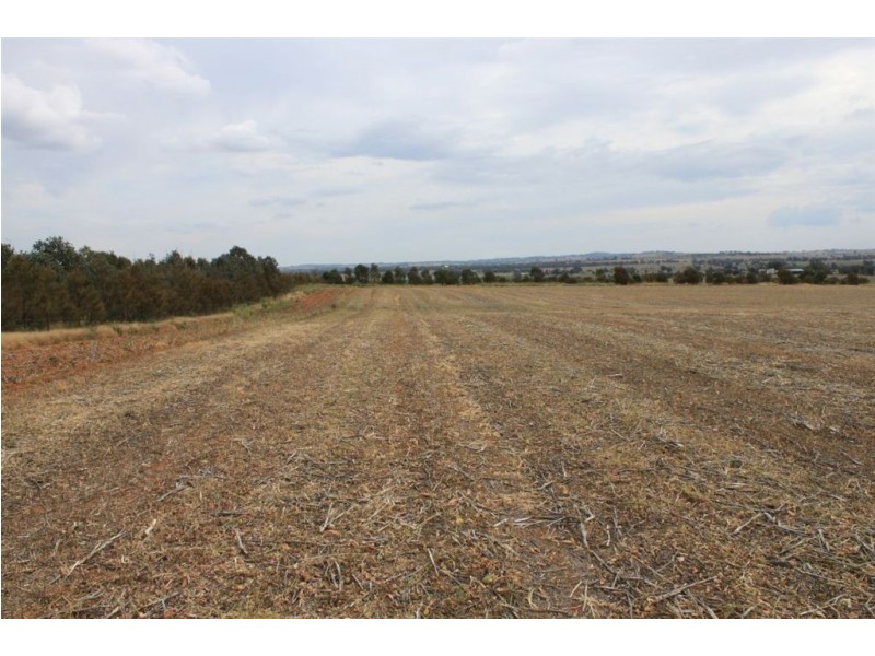 79 Aerodrome Lane, Junee NSW 2663