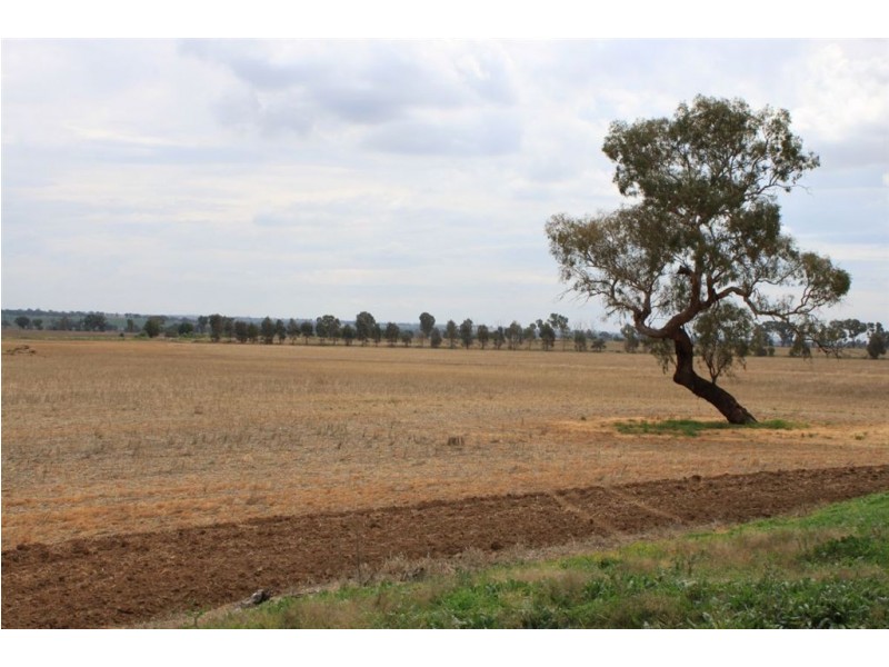 79 Aerodrome Lane, Junee NSW 2663