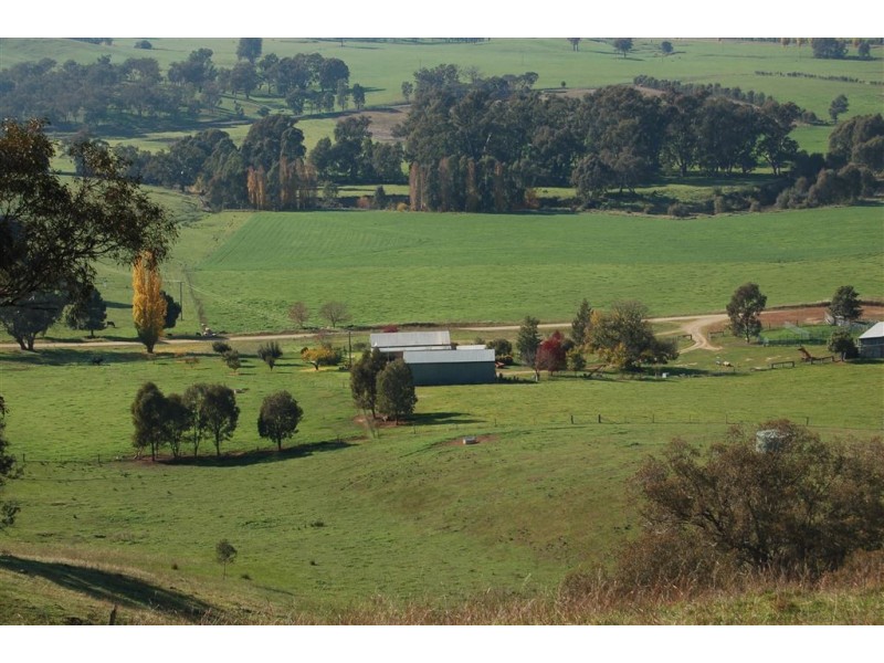 157 Oberne-Umbango Road, Tarcutta NSW 2652