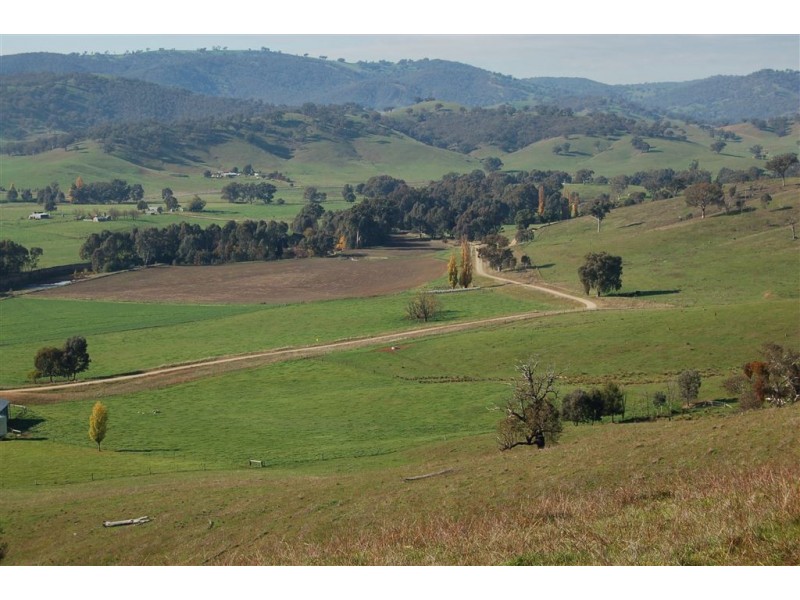 157 Oberne-Umbango Road, Tarcutta NSW 2652