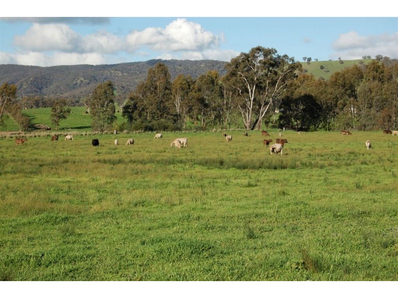 157 Oberne-Umbango Road, Tarcutta NSW 2652