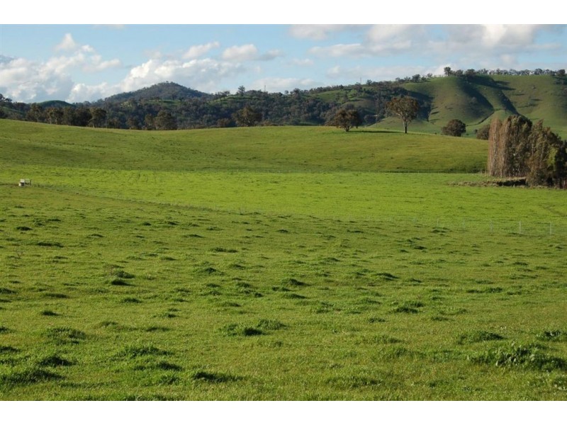 157 Oberne-Umbango Road, Tarcutta NSW 2652