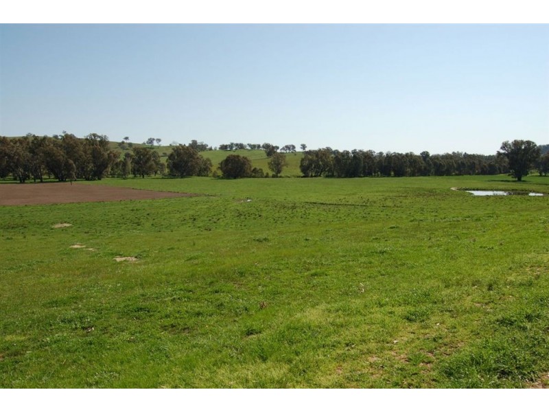 157 Oberne-Umbango Road, Tarcutta NSW 2652