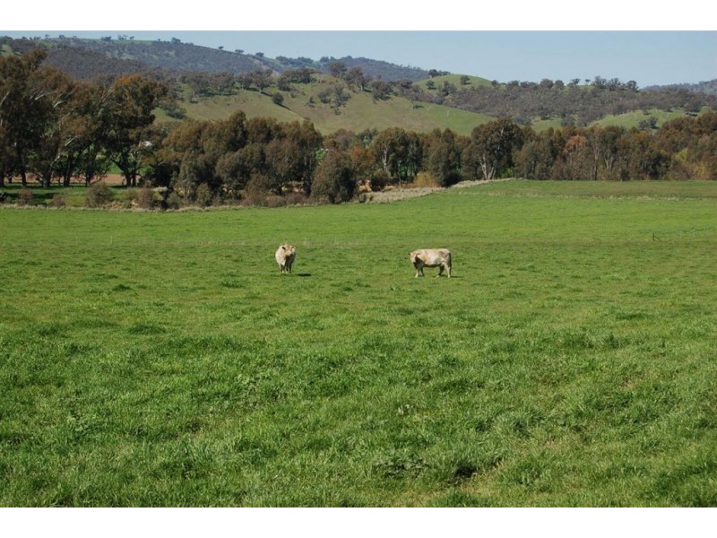 157 Oberne-Umbango Road, Tarcutta NSW 2652