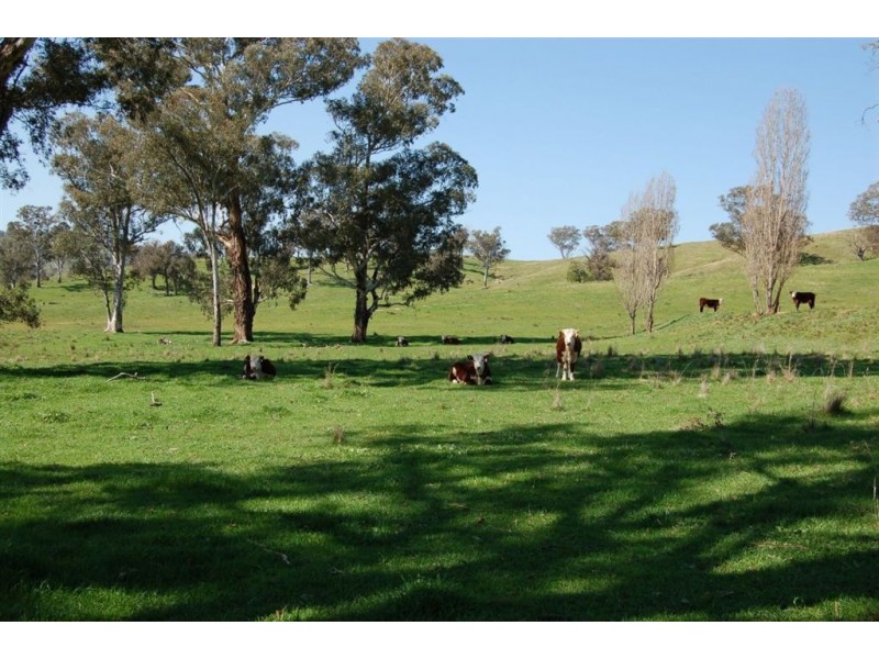 157 Oberne-Umbango Road, Tarcutta NSW 2652