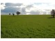 Erinvale Tooyal Road, Wagga Wagga NSW 2650