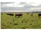 Erinvale Tooyal Road, Wagga Wagga NSW 2650