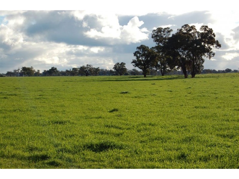 Erinvale Tooyal Road, Wagga Wagga NSW 2650
