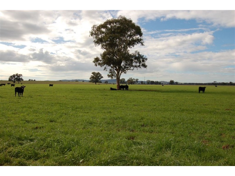 Erinvale Tooyal Road, Wagga Wagga NSW 2650