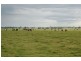 Erinvale Tooyal Road, Wagga Wagga NSW 2650