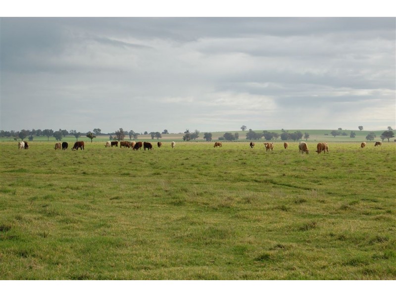 Erinvale Tooyal Road, Wagga Wagga NSW 2650