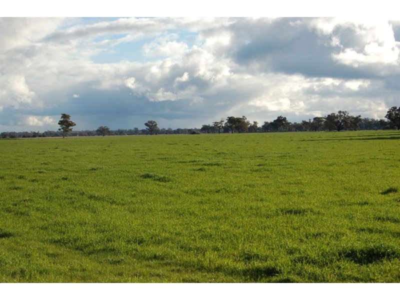 Erinvale Tooyal Road, Wagga Wagga NSW 2650