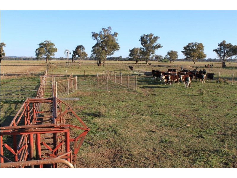Erinvale Tooyal Road, Wagga Wagga NSW 2650