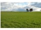 Erinvale Tooyal Road, Wagga Wagga NSW 2650