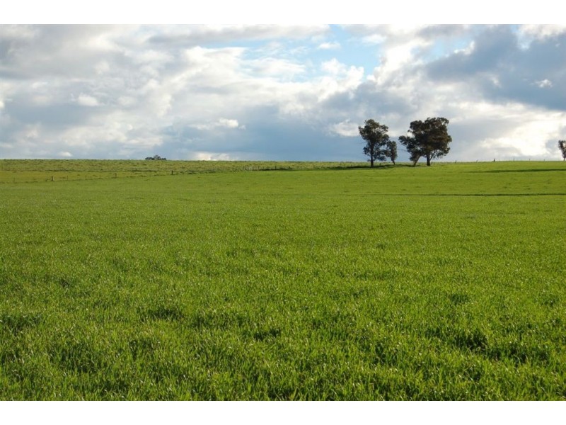 Erinvale Tooyal Road, Wagga Wagga NSW 2650