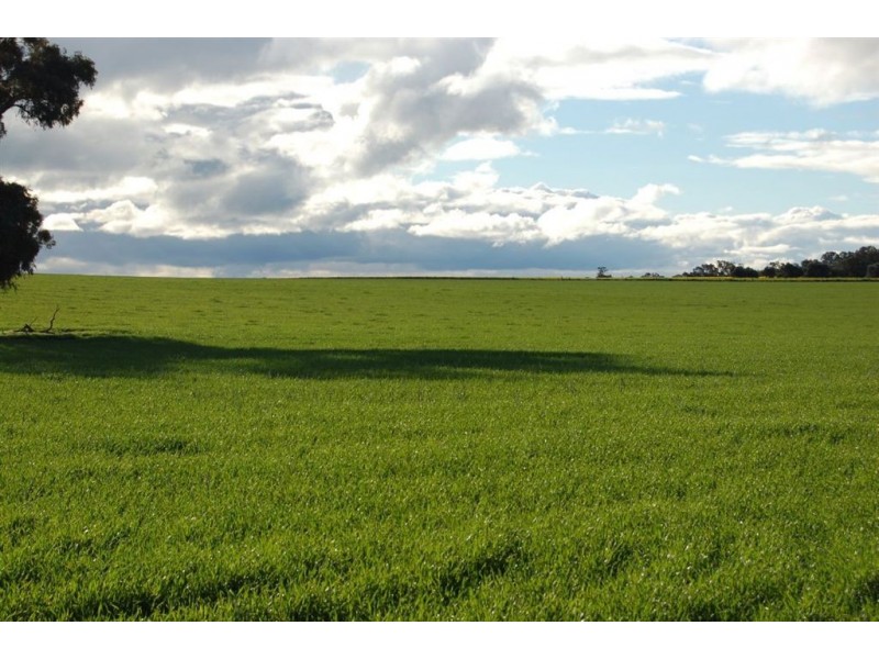 Erinvale Tooyal Road, Wagga Wagga NSW 2650