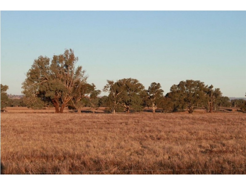 West Meadows, 6 Gregadoo-Ladysmith Road, Gregadoo NSW 2650