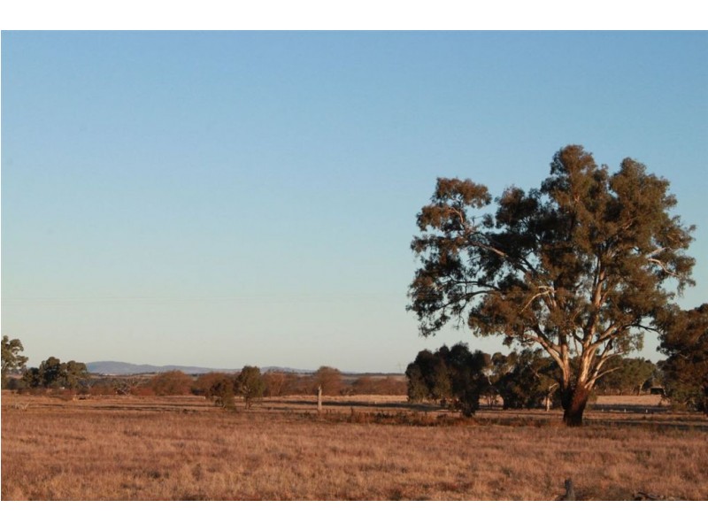 West Meadows, 6 Gregadoo-Ladysmith Road, Gregadoo NSW 2650