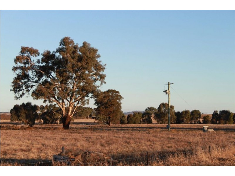 West Meadows, 6 Gregadoo-Ladysmith Road, Gregadoo NSW 2650