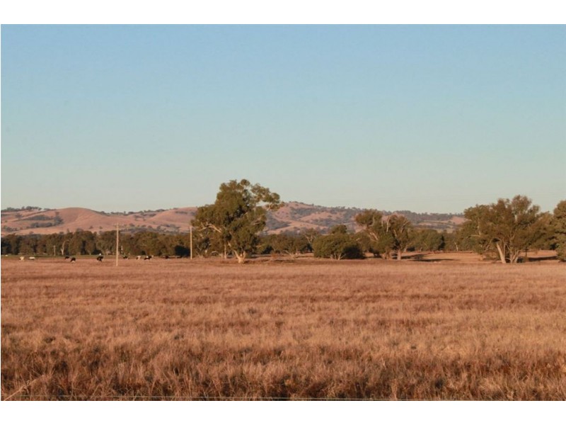 West Meadows, 6 Gregadoo-Ladysmith Road, Gregadoo NSW 2650