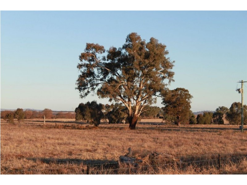 West Meadows, 6 Gregadoo-Ladysmith Road, Gregadoo NSW 2650