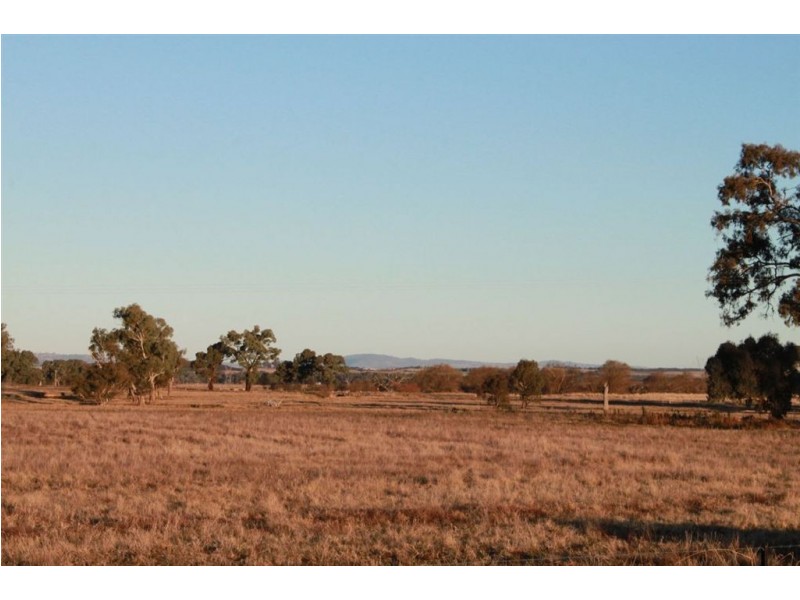 West Meadows, 6 Gregadoo-Ladysmith Road, Gregadoo NSW 2650