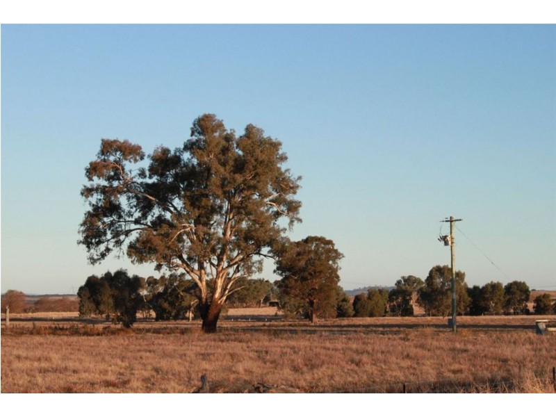 West Meadows, 6 Gregadoo-Ladysmith Road, Gregadoo NSW 2650