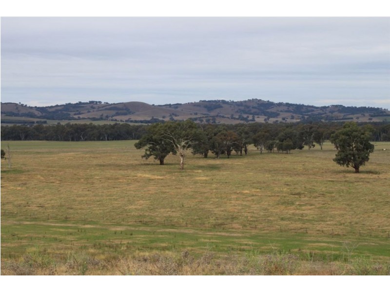 West Meadows, 6 Gregadoo-Ladysmith Road, Gregadoo NSW 2650