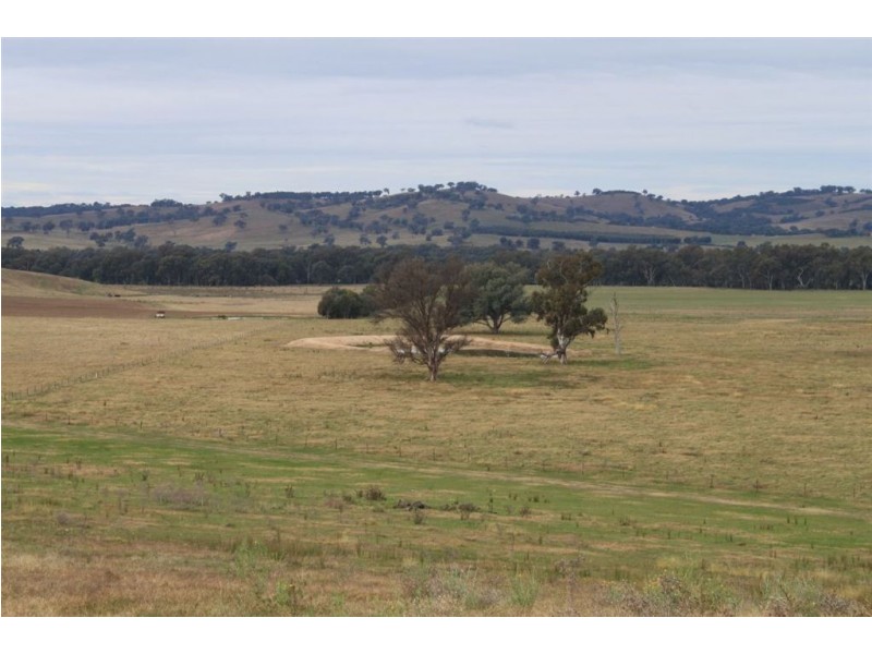 West Meadows, 6 Gregadoo-Ladysmith Road, Gregadoo NSW 2650