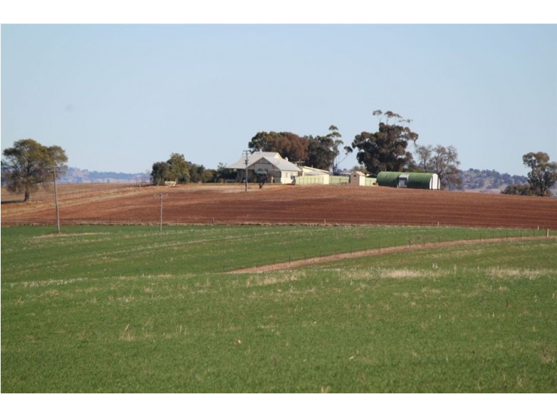 Kelvin Grove, Byrnes Road, Junee NSW 2663