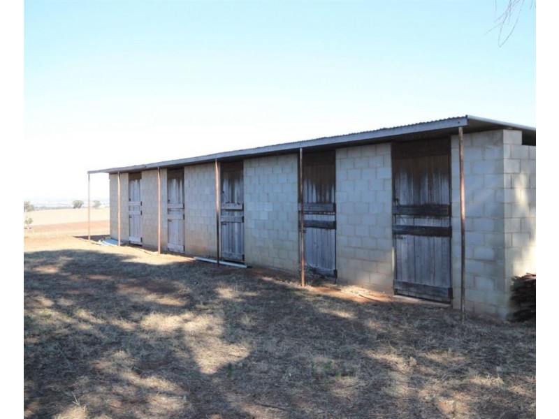 Kelvin Grove, Byrnes Road, Junee NSW 2663