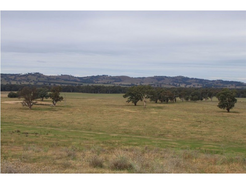 Oberne North, 31 Gregadoo-Ladysmith Road, Gregadoo NSW 2650