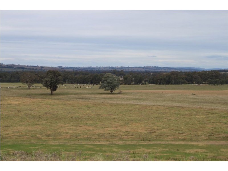 Oberne North, 31 Gregadoo-Ladysmith Road, Gregadoo NSW 2650