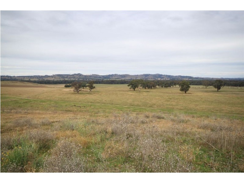 Oberne North, 31 Gregadoo-Ladysmith Road, Gregadoo NSW 2650