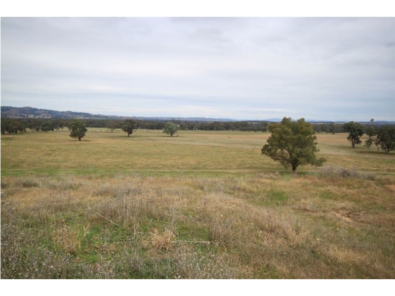 Oberne North, 31 Gregadoo-Ladysmith Road, Gregadoo NSW 2650