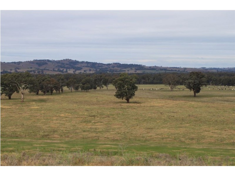 Oberne North, 31 Gregadoo-Ladysmith Road, Gregadoo NSW 2650