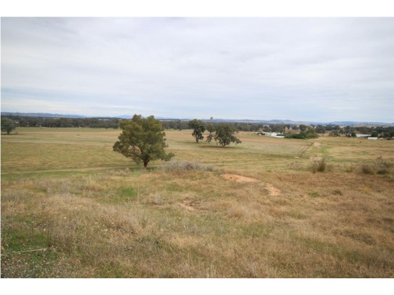 Oberne North, 31 Gregadoo-Ladysmith Road, Gregadoo NSW 2650