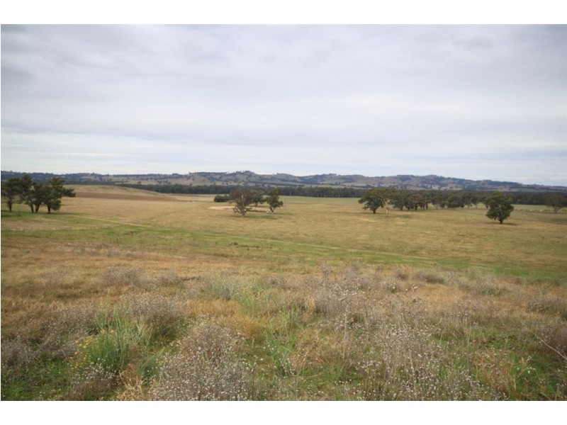 Oberne North, 31 Gregadoo-Ladysmith Road, Gregadoo NSW 2650