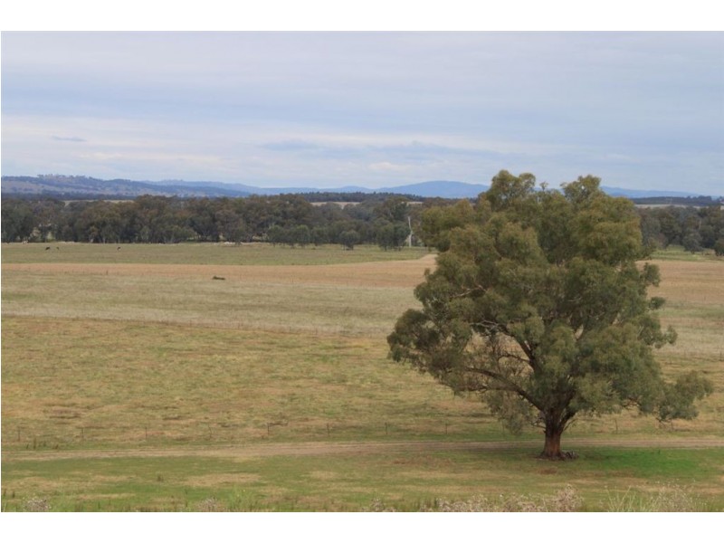 Oberne North, 31 Gregadoo-Ladysmith Road, Gregadoo NSW 2650