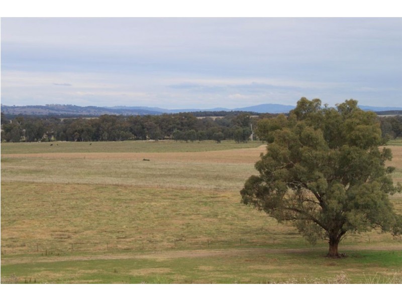 Oberne North, 31 Gregadoo-Ladysmith Road, Gregadoo NSW 2650