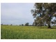Kywong & Roughwood, Sturt Highway, Galore NSW 2650