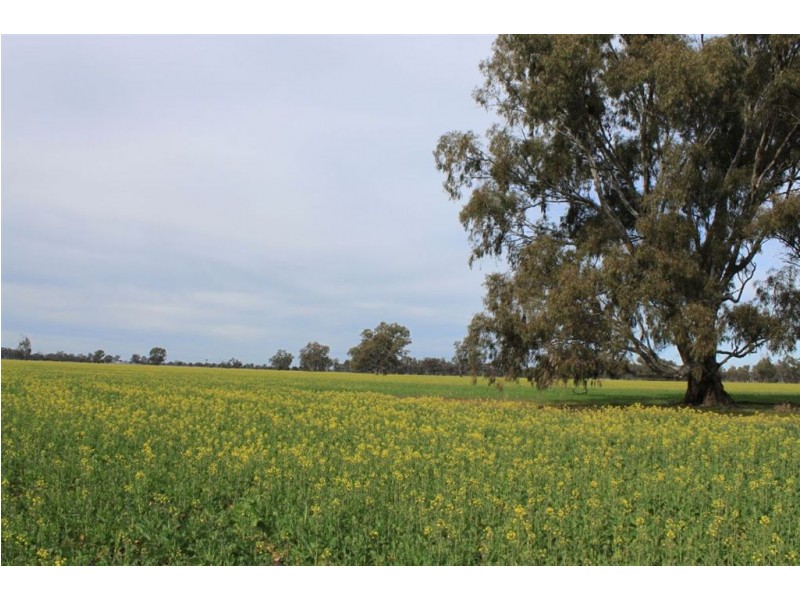 Kywong & Roughwood, Sturt Highway, Galore NSW 2650