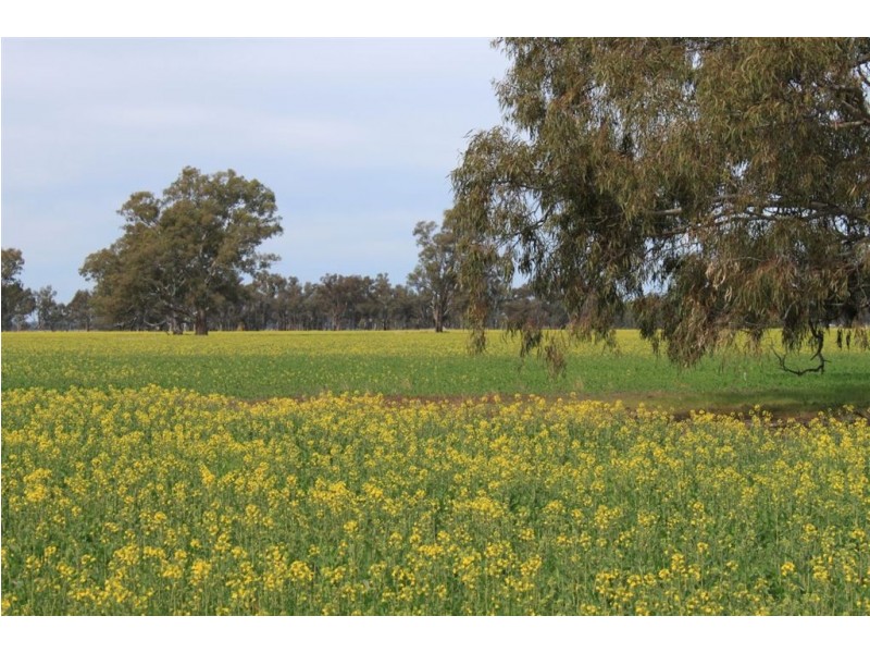 Kywong & Roughwood, Sturt Highway, Galore NSW 2650