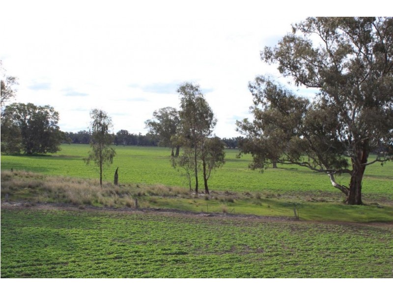 Kywong & Roughwood, Sturt Highway, Galore NSW 2650