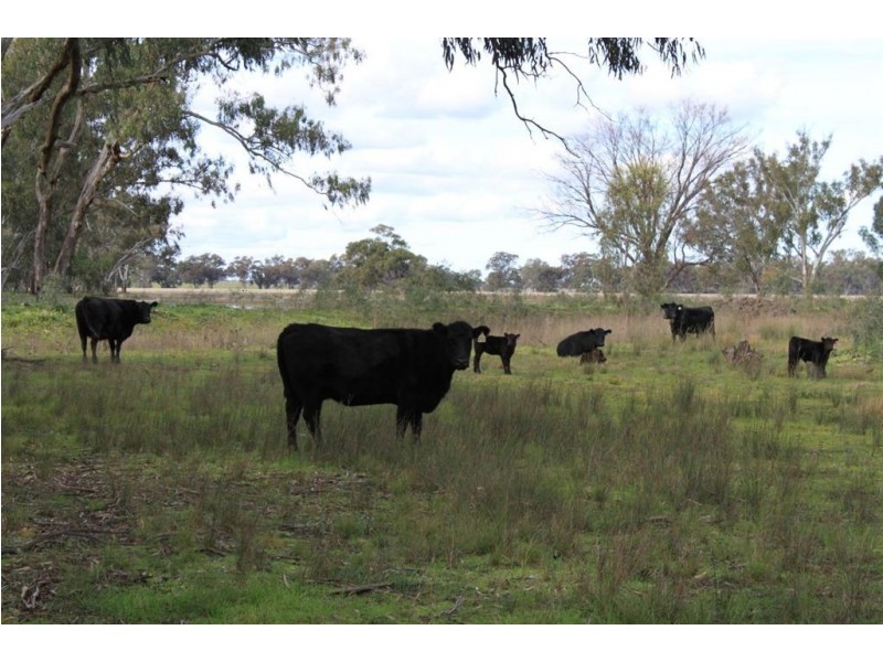 Kywong & Roughwood, Sturt Highway, Galore NSW 2650