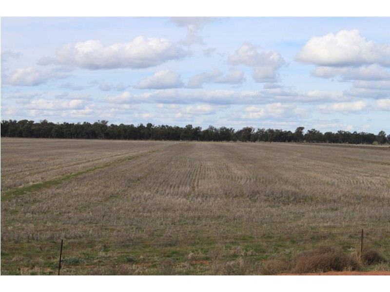 Kywong & Roughwood, Sturt Highway, Galore NSW 2650