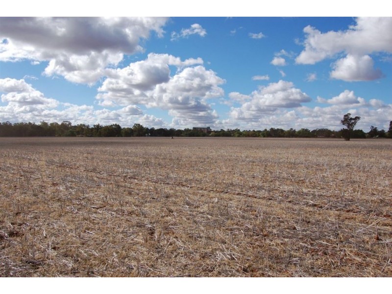 Racetrack Canola Way, Ganmain NSW 2702