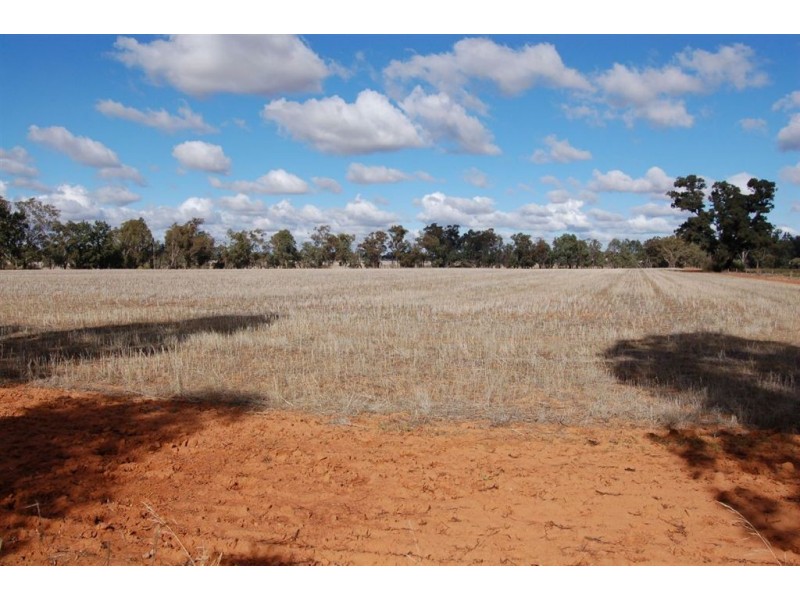 Racetrack Canola Way, Ganmain NSW 2702