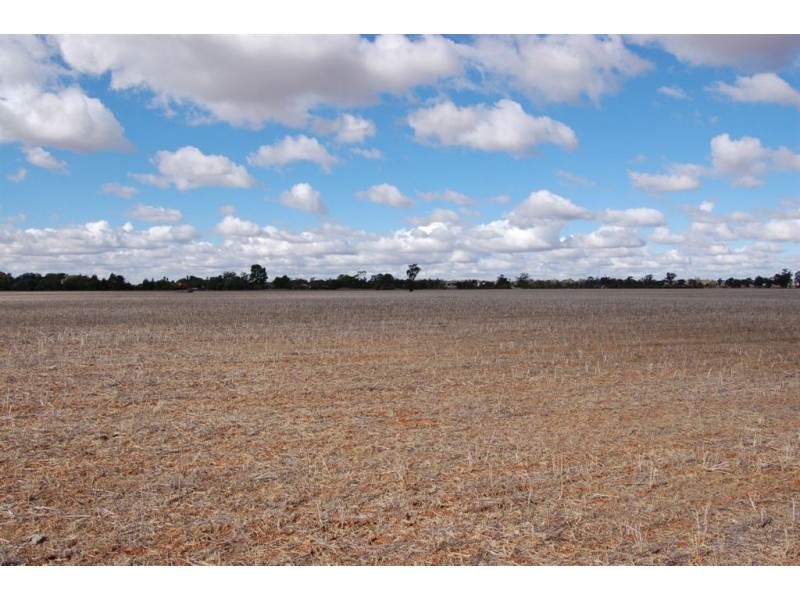 Racetrack Canola Way, Ganmain NSW 2702