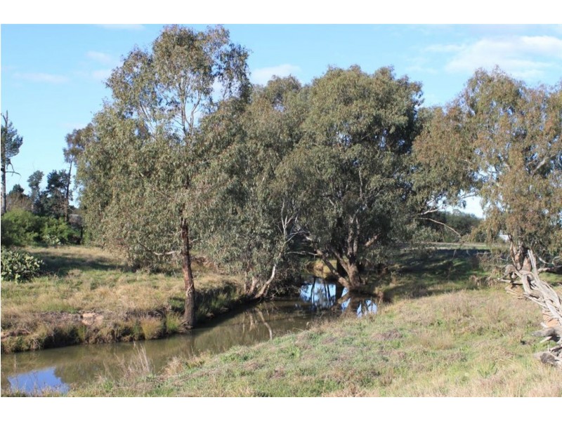 Racetrack Canola Way, Ganmain NSW 2702
